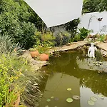 Palm View Guesthouse, Adults Only 4*