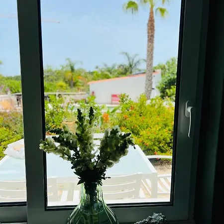 Bed & Breakfast Palm View Guesthouse, Adults Only 4*