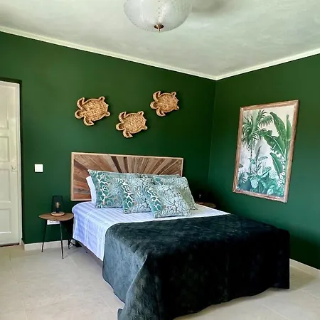 Bed & Breakfast Palm View Guesthouse, Adults Only 4*