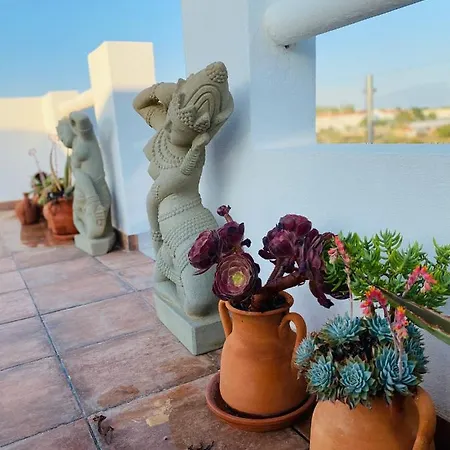 Bed & Breakfast Palm View Guesthouse, Adults Only