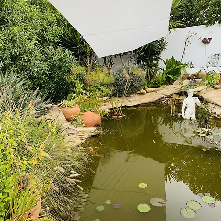 Palm View Guesthouse, Adults Only 4*