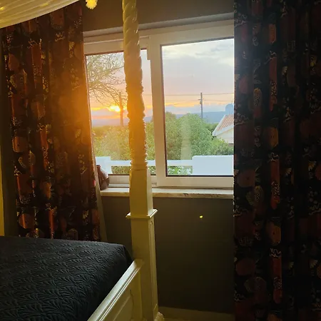 Bed & Breakfast Palm View Guesthouse, Adults Only