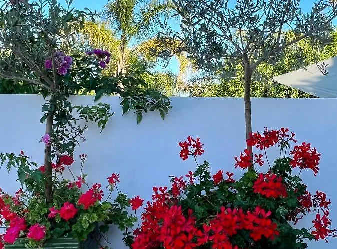 Palm View Guesthouse, Adults Only לינה וארוחת בוקר 4*