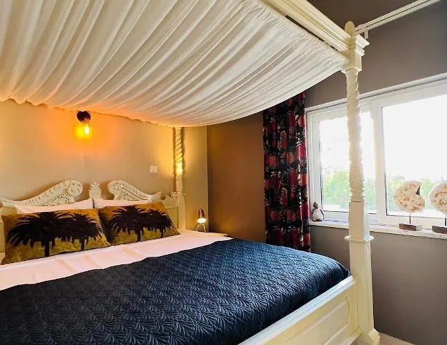 לינה וארוחת בוקר Palm View Guesthouse, Adults Only