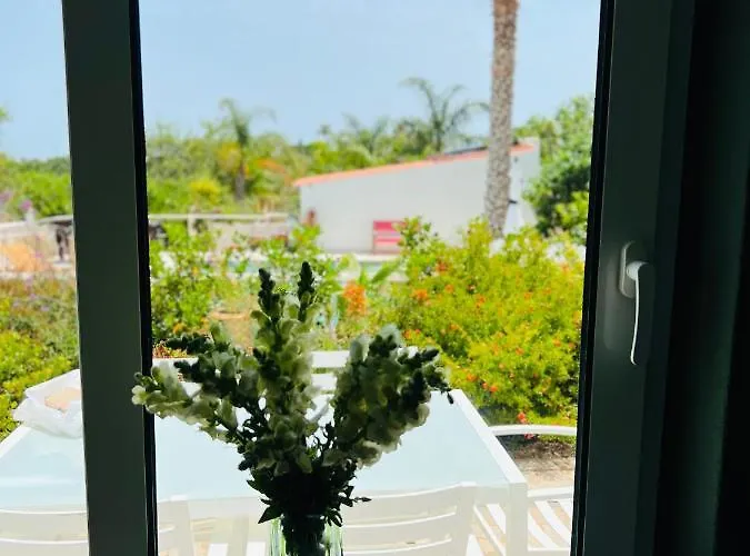לינה וארוחת בוקר Palm View Guesthouse, Adults Only 4*