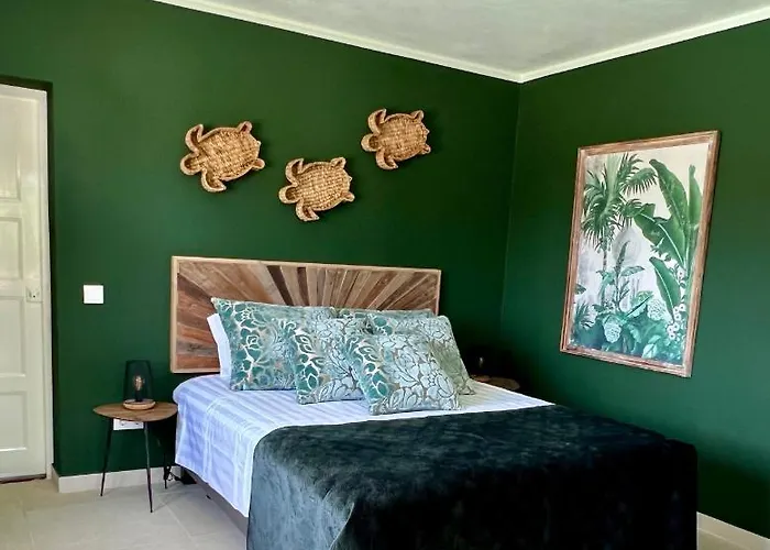 לינה וארוחת בוקר Palm View Guesthouse, Adults Only 4*