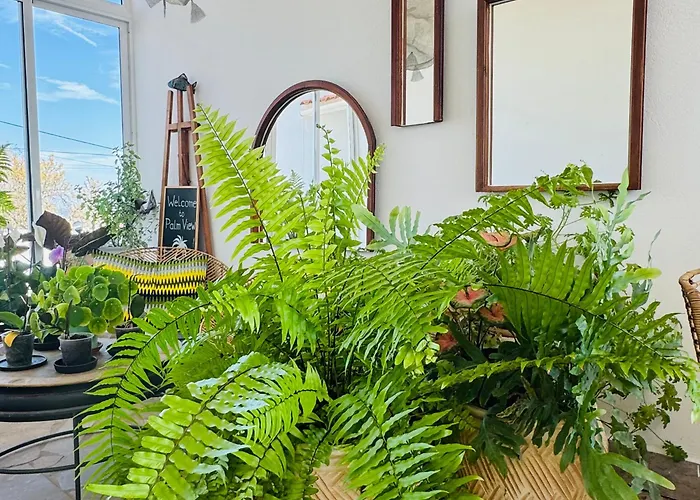 Palm View Guesthouse, Adults Only לינה וארוחת בוקר