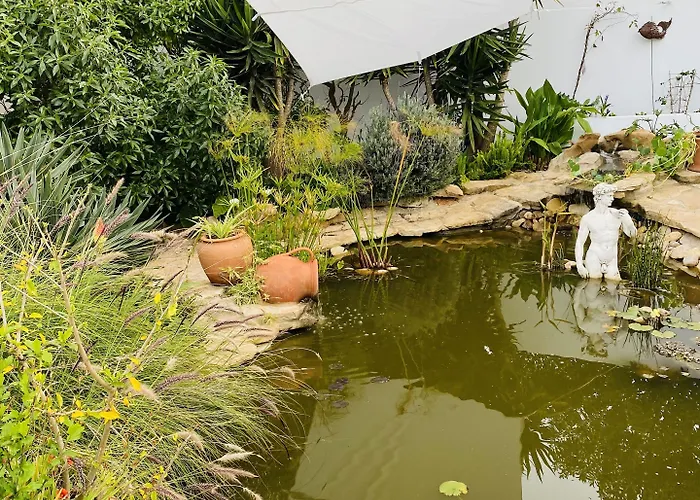 Palm View Guesthouse, Adults Only 4*