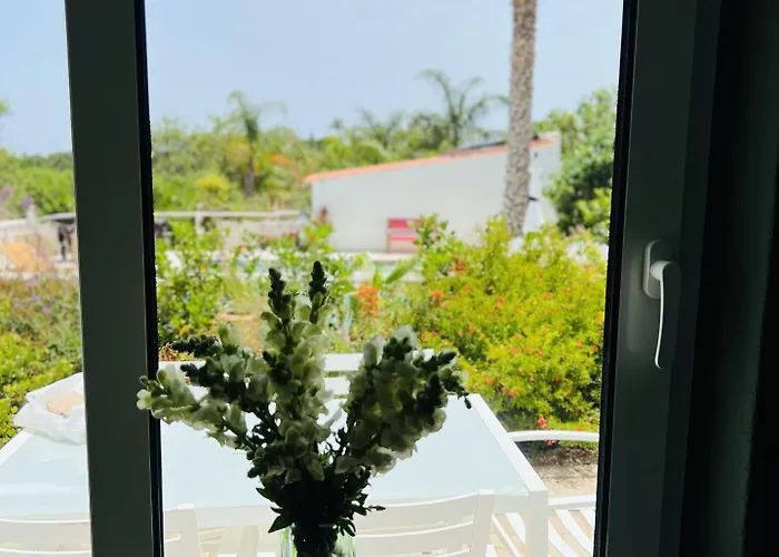 לינה וארוחת בוקר Palm View Guesthouse, Adults Only 4*