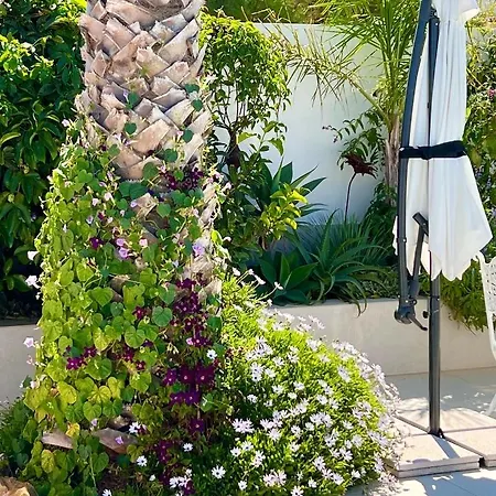 Palm View Guesthouse, Adults Only Bed & Breakfast Luz