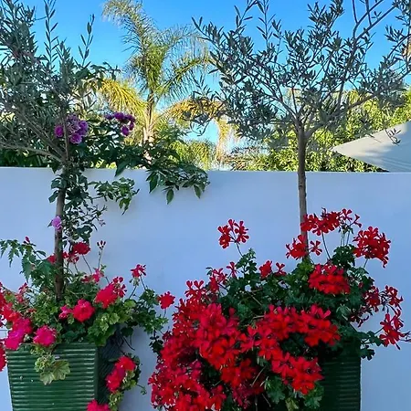 Palm View Guesthouse, Adults Only Panzió *