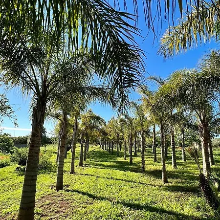 Palm View Guesthouse, Adults Only Bed & Breakfast Luz