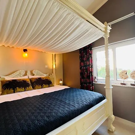 Bed & Breakfast Palm View Guesthouse, Adults Only