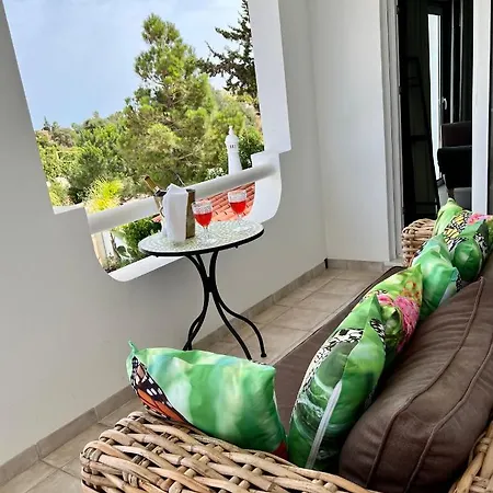 Palm View Guesthouse, Adults Only *
