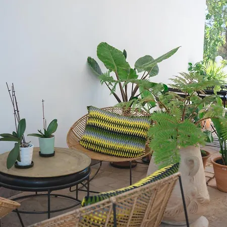 Bed & Breakfast Palm View Guesthouse, Adults Only