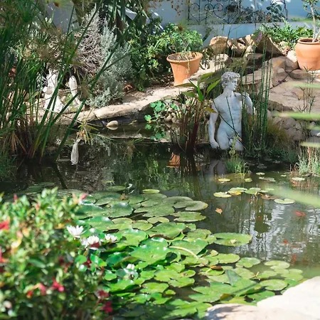 Bed & Breakfast Palm View Guesthouse, Adults Only *