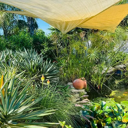 Palm View Guesthouse, Adults Only Luz