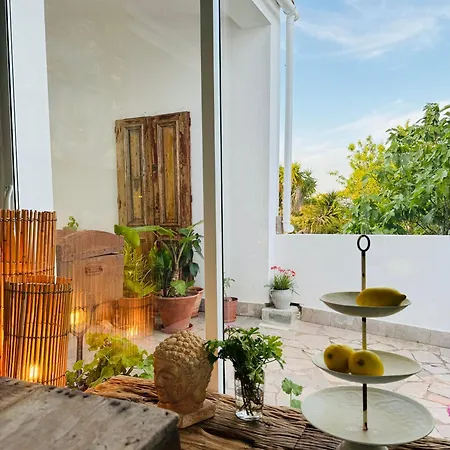 Palm View Guesthouse, Adults Only