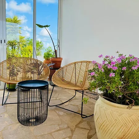 Bed & Breakfast Palm View Guesthouse, Adults Only