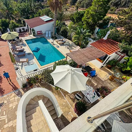 Bed & Breakfast Palm View Guesthouse, Adults Only