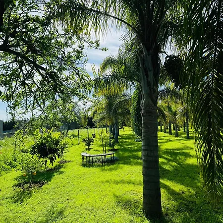 Bed & Breakfast Palm View Guesthouse, Adults Only *