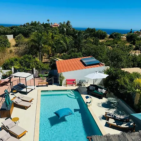 Bed & Breakfast Palm View Guesthouse, Adults Only *