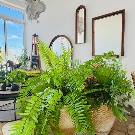 Palm View Guesthouse, Adults Only לינה וארוחת בוקר
