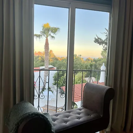 Palm View Guesthouse, Adults Only Bed and Breakfast