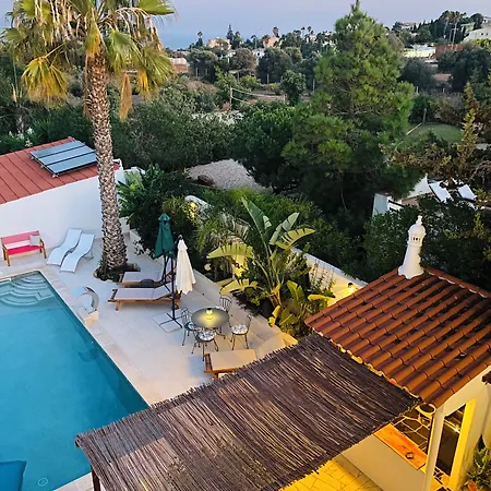 Panzió Palm View Guesthouse, Adults Only Luz