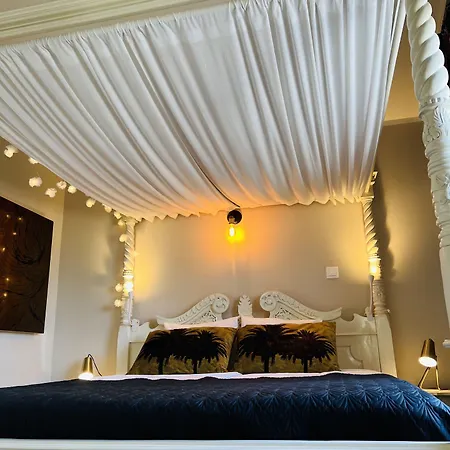 Panzió Palm View Guesthouse, Adults Only