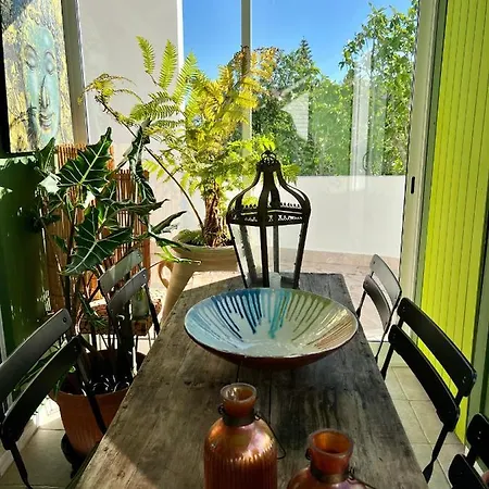 Palm View Guesthouse, Adults Only