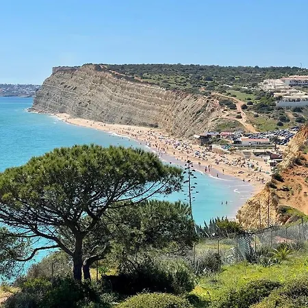 住宿加早餐酒店 Palm View Guesthouse, Adults Only 4*