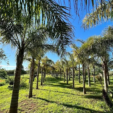 Palm View Guesthouse, Adults Only 住宿加早餐酒店 Luz