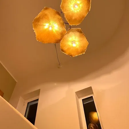 住宿加早餐酒店 Palm View Guesthouse, Adults Only 4*