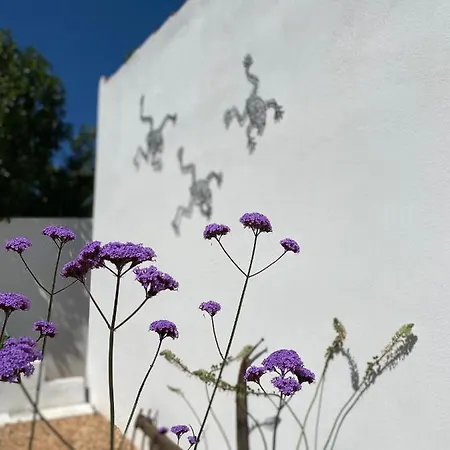 住宿加早餐酒店 Palm View Guesthouse, Adults Only 4*