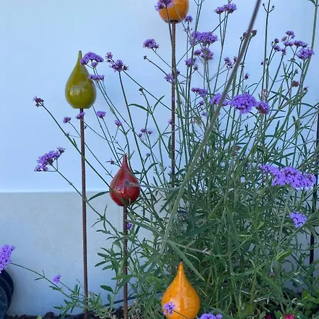 住宿加早餐酒店 Palm View Guesthouse, Adults Only 4*