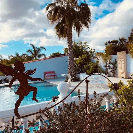 Couette-café Palm View Guesthouse, Adults Only