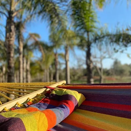 Palm View Guesthouse, Adults Only 住宿加早餐酒店 4*