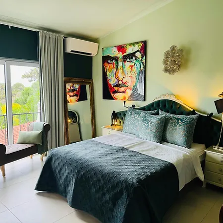 Palm View Guesthouse, Adults Only ベッド・アンド・ブレックファスト