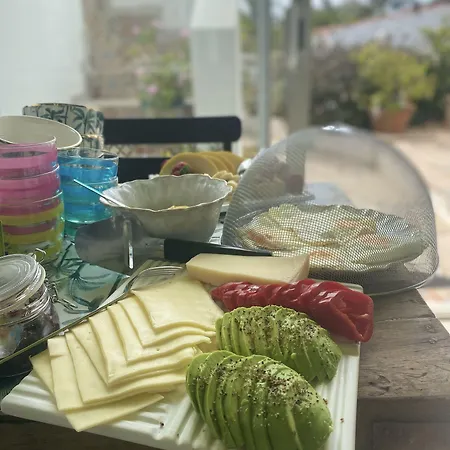 住宿加早餐酒店 Palm View Guesthouse, Adults Only 4*