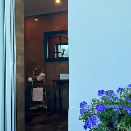 住宿加早餐酒店 Palm View Guesthouse, Adults Only Luz