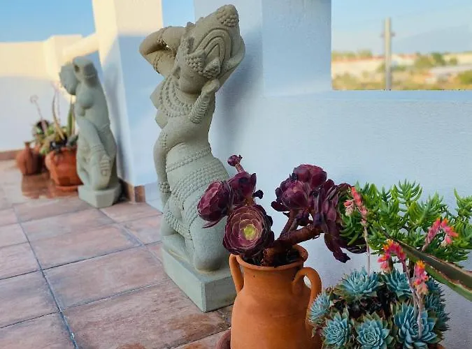 Bed & Breakfast Palm View Guesthouse, Adults Only